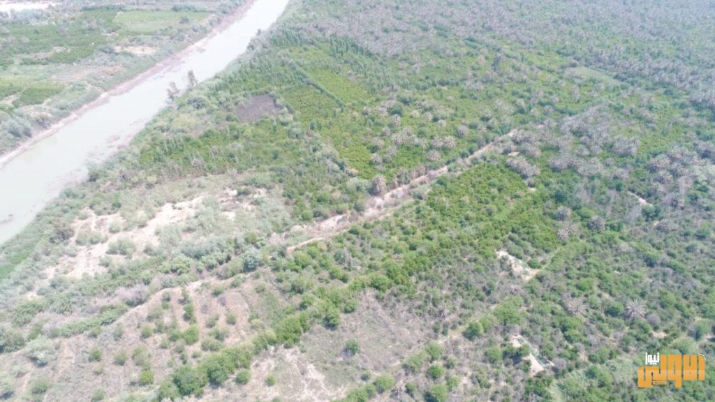 الاستخبارات توجه شعبة الطائرات المسيرة لمتابعة تحركات داعش 15 36E9E4DF C79C 40F7 9BF2 239B81EB5ED1