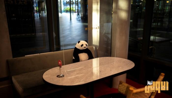 154 194255 panda doll restaurant social