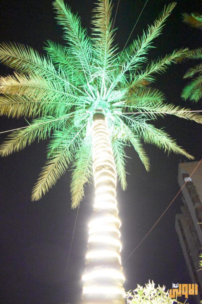 بالصور.. تطوير شارع حيفا 11 77C06680 44E4 485A 8552 01FC154747E5