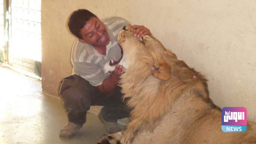 "سيف الفتلاوي " مروض الحيوانات المفترسة (صور) 25 FB IMG 1614199096254