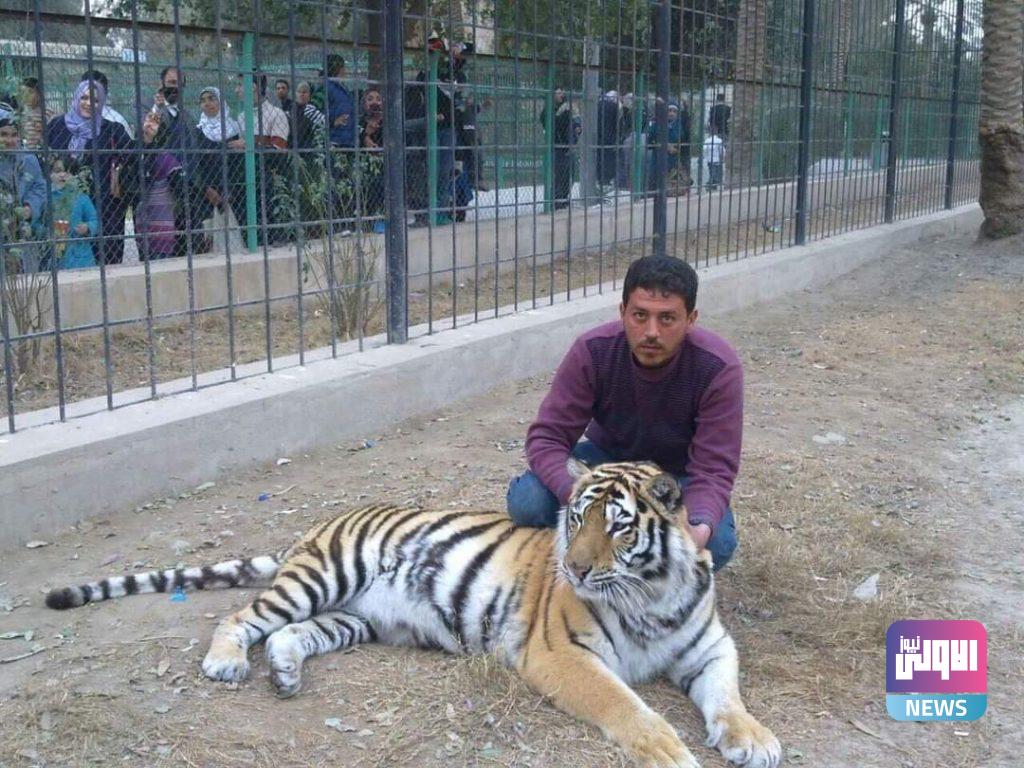 "سيف الفتلاوي " مروض الحيوانات المفترسة (صور) 23 FB IMG 1614199101217