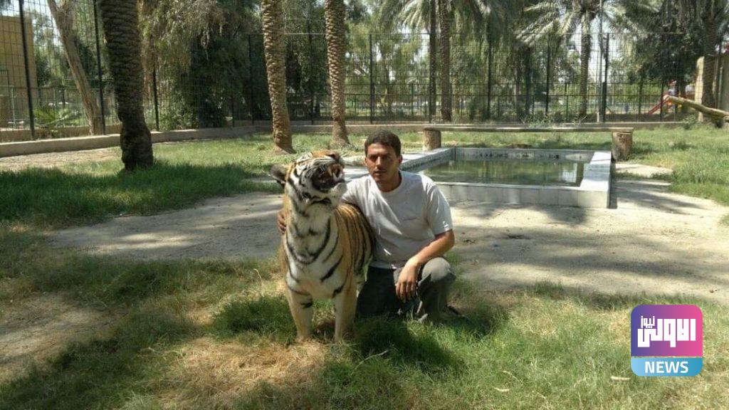 "سيف الفتلاوي " مروض الحيوانات المفترسة (صور) 27 FB IMG 1614199110064