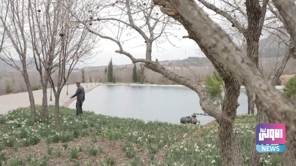 النرجس (صور) 11 FB IMG 1615507631641