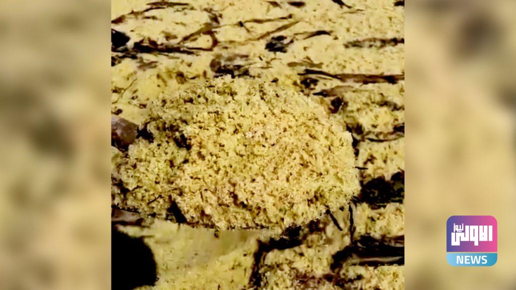 البحر يقذف أطنانا من الكافيار وسمك الرنجة شرقي روسيا 4 609e7f174c59b726b84e1578