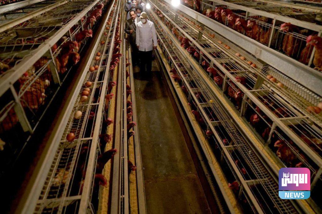 الكاظمي يتفقد عددا من مواقع شركات الإنتاج الزراعي والحيواني في واسط 4 AB985626 7AFF 405E 826B 857A736561B4