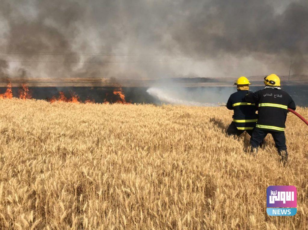 الدفاع المدني تنقذ 117 دونماً في صلاح الدين (صور) 13 IMG 20210522 180550 586