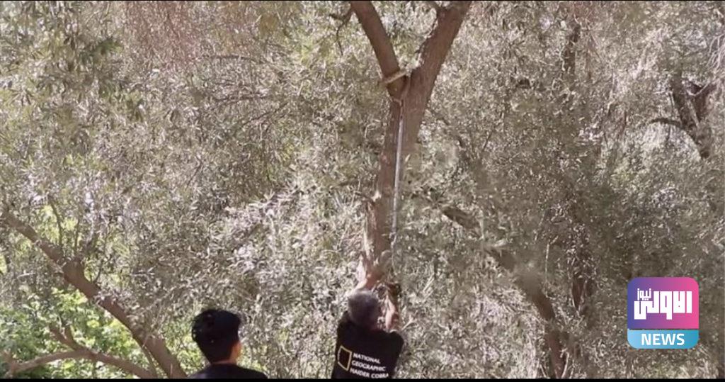 بالصور .. عراقي ذو قلب جلد يمتلك مناعة أذهلت الأطباء 9 0B5C17EC 5139 483D 897F AC65635EB1C0