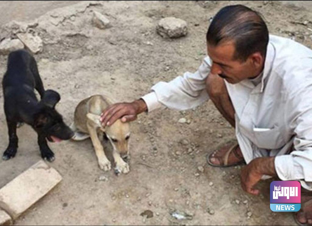 "رعب وعويل".. وحوش كاسرة صعبة المراس في العراق (صور) 13 1B7158CE ACED 4EEB 90CA 00339BE64FBE