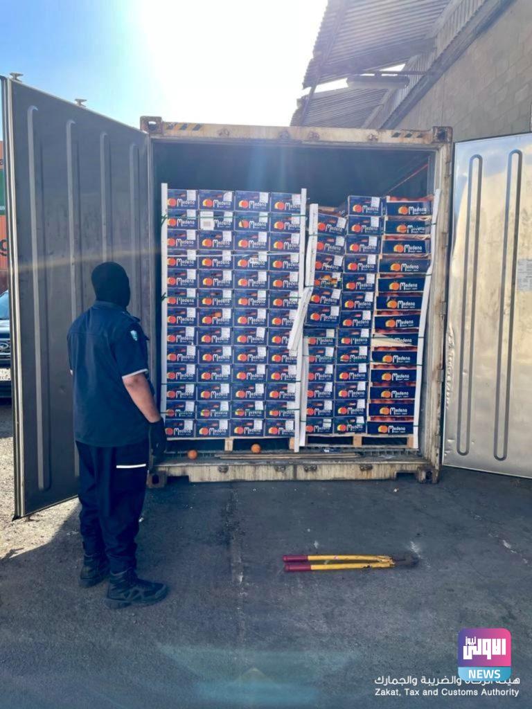 السعودية تحبط تهريب أكثر من 4.5 مليون قرص كبتاغون في شحنة برتقال (صور) 6 60dc4a9d4c59b74aa0431392