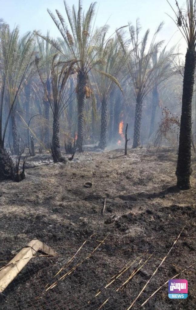 الدفاع المدني يسيطر على حريق اندلع داخل 10 بساتين في ديالى 9 301C0975 4036 4C7F BE49 3454FF78DCD1