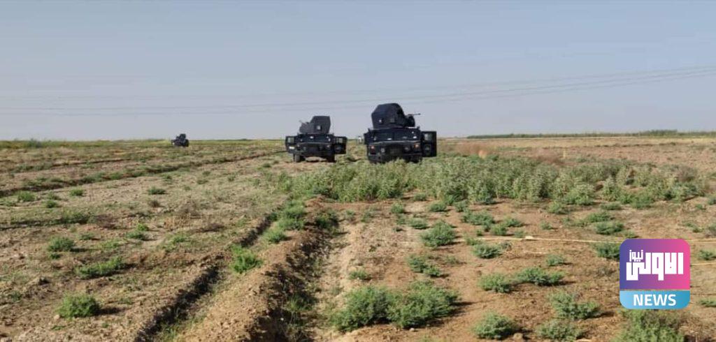 خلال عمليات تفتيش.. العثور على عبوات ناسفة بناحية الرشاد في كركوك (صور) 14 FB IMG 1631728191319