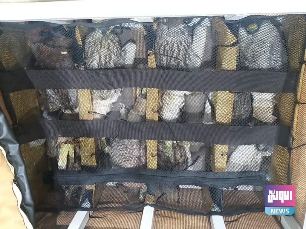 ضبط وإحباط محاولة تهريب (١٣) صقر في منفذ مطار بغداد الدولي 4 3E7BC447 ADED 493F B056 9749DED15428